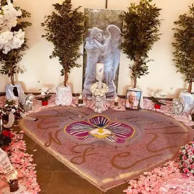 262548335 6742272545813106 5081183396625762979 N 262548335 6742272545813106 5081183396625762979 N