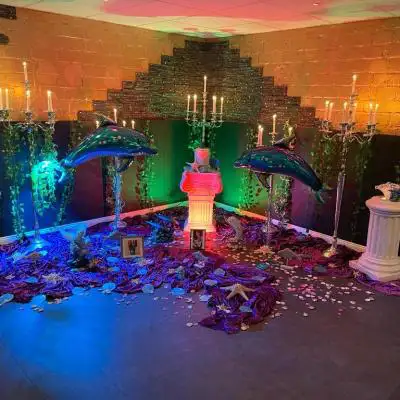 272254365 7067465696627121 8077211568257312015 N 272254365 7067465696627121 8077211568257312015 N