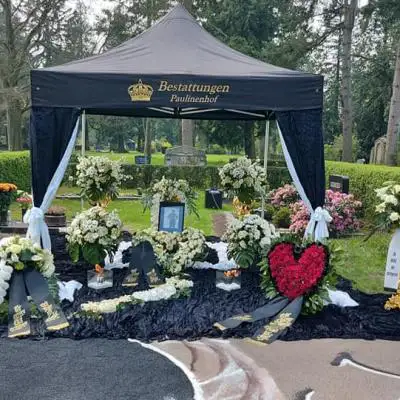 177140632 5573607649346274 2424038600080113065 N 177140632 5573607649346274 2424038600080113065 N